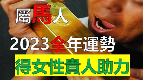 屬馬 2023 運勢|2023年12生肖運勢大全——生肖馬